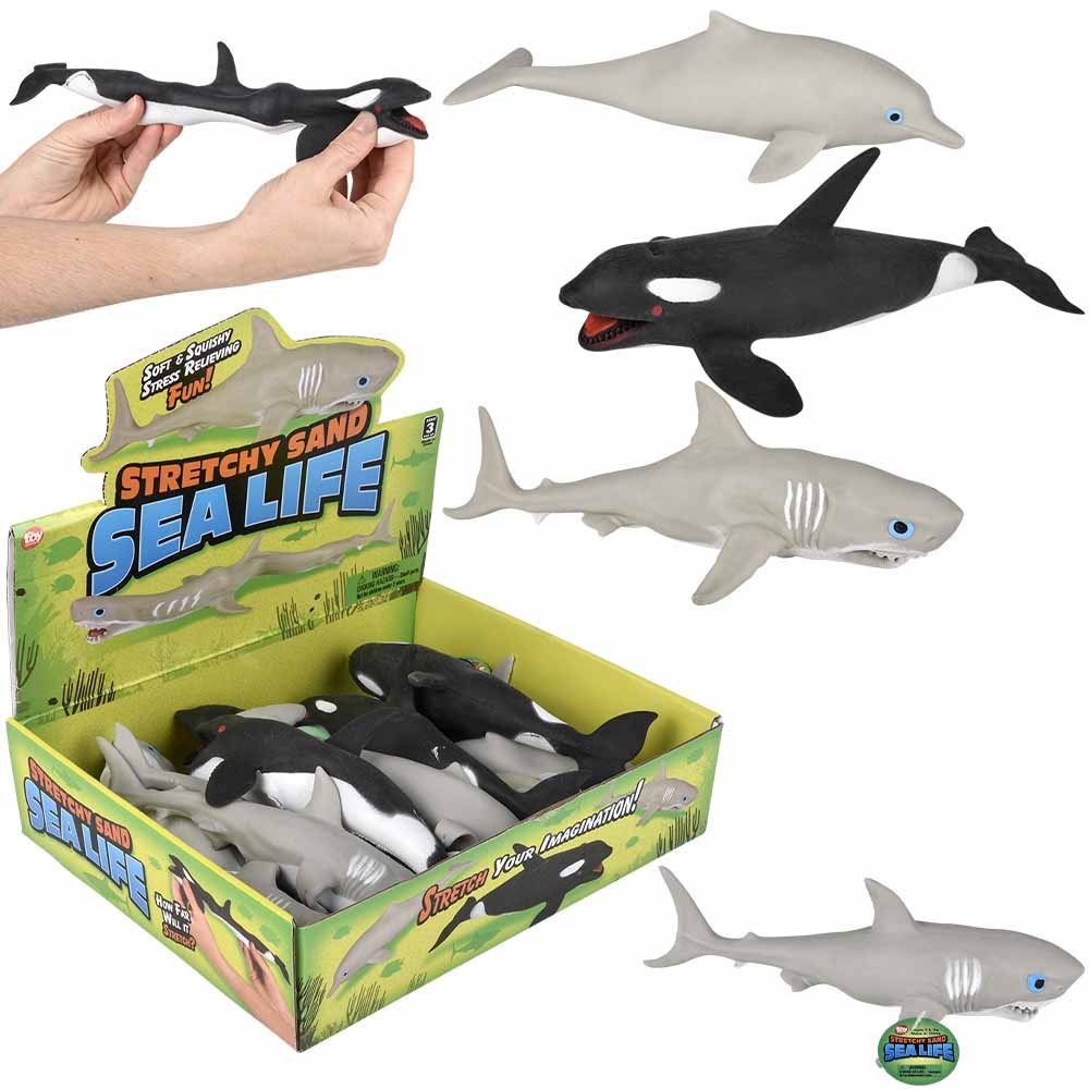 Sea LIFE☆ Sealife SportDiver 67mm +6 Macro Lens – SeaLife Cameras