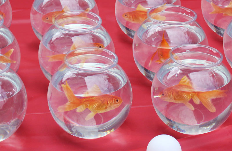 closeup of goldfish bowl carnival game