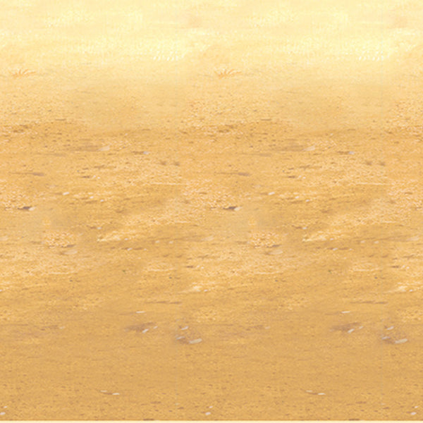 Desert Sand Backdrop 4' x 30'