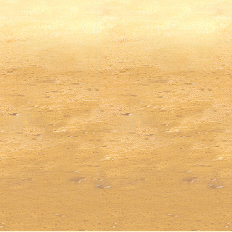 Desert Sand Backdrop 4' x 30'