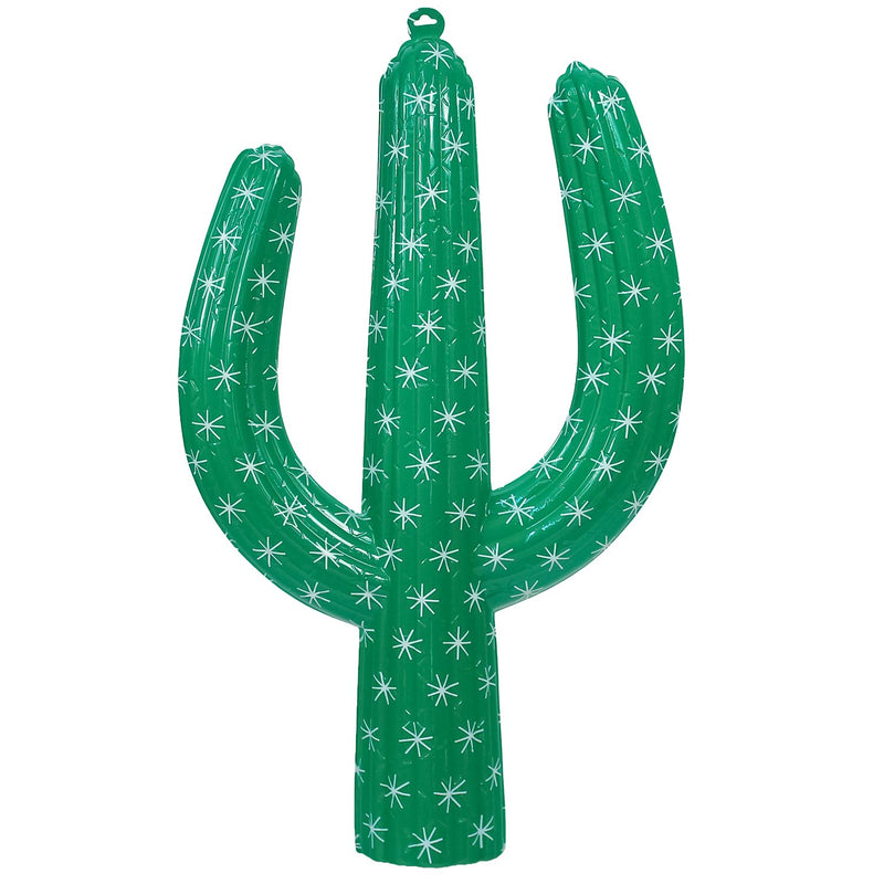 Plastic Cactus decoration
