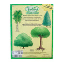 Treetures Forest Adventure Sticker Stories Book 11" (EACH)