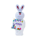 Rabbit and Carrot Bubble Assortment 6.25" (6 PACK)