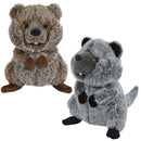 Plush Quokka Assorted 7" (EACH)