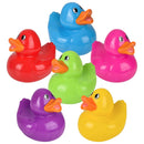 Big Rubber Duck Assorted 6" (EACH)