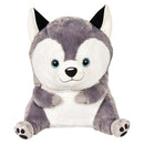 Plush Belly Buddy Husky 26" (EACH)