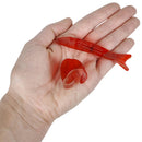 Fortune Teller Fish in hand