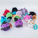 Closeout Plush Squishmallow Assorted 5" (EACH)