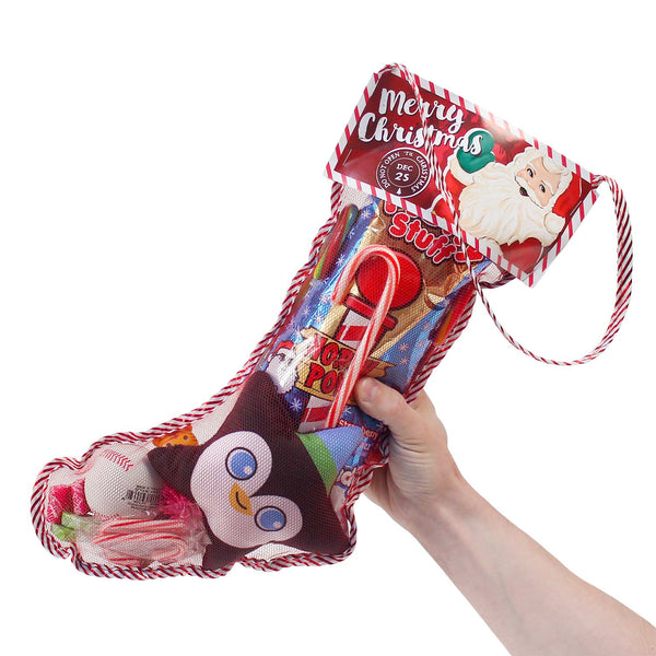 Filled Christmas Stocking in hand