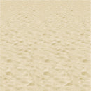 Beach Backdrop 4' x 30'