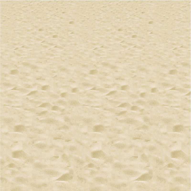 Beach Backdrop 4' x 30'