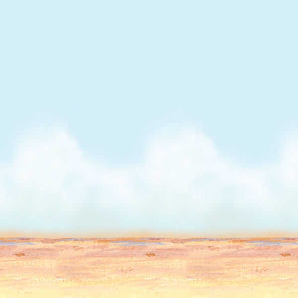 Desert Sky Backdrop 4' x 30'