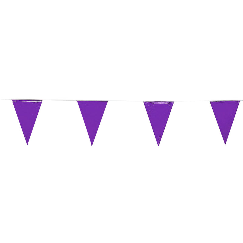 Pennant String - Purple 100'