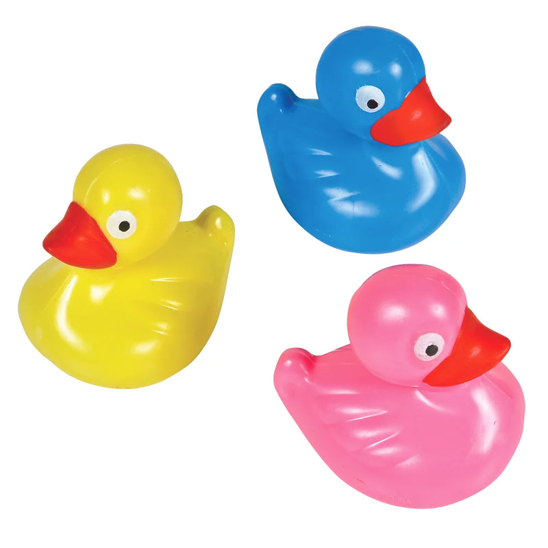 Floating Plastic Ducks (DZ)