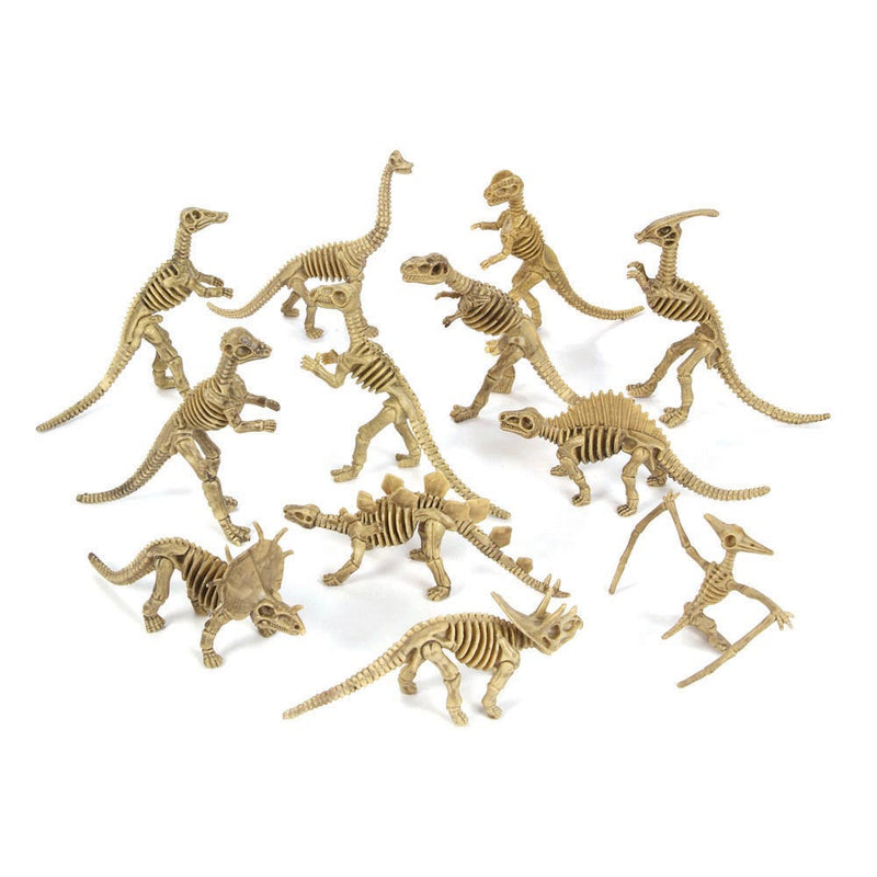 Dino Fossils 6"-7" (DZ)