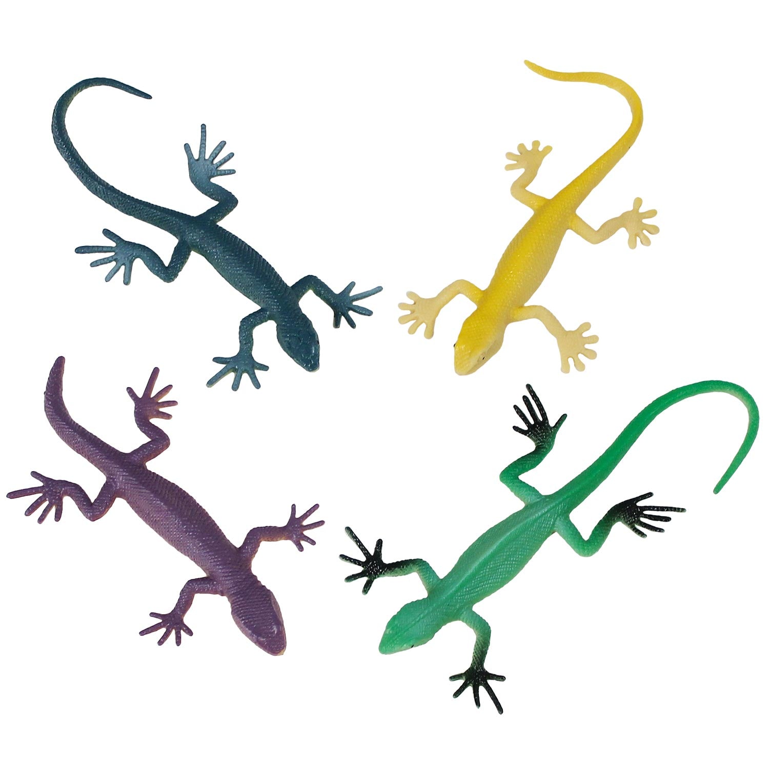 Lizard Solid Assortment 3