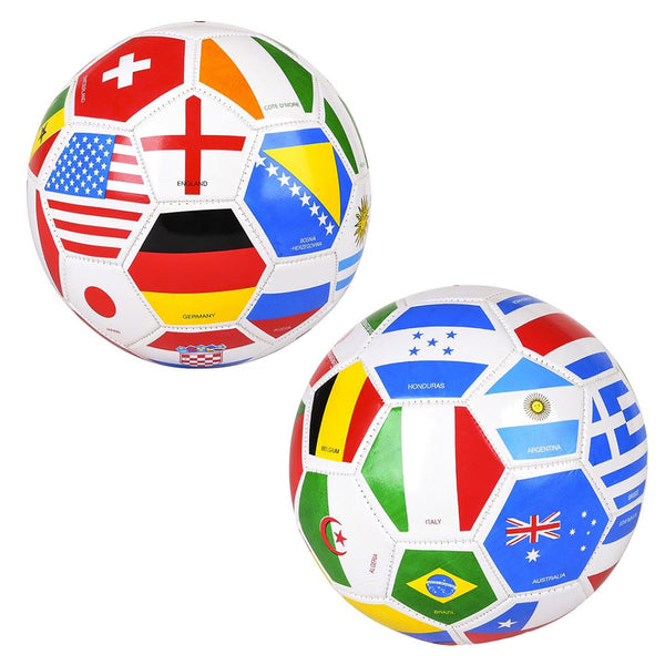 Multi Flag Soccer Ball 9"